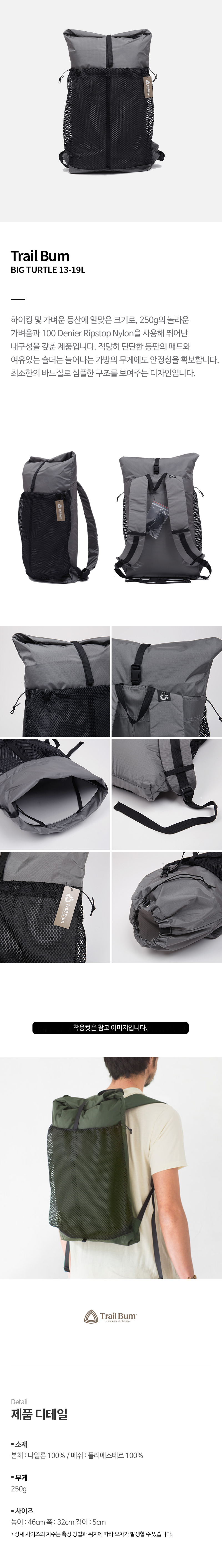 Bigturtle_Gray_191113.jpg
